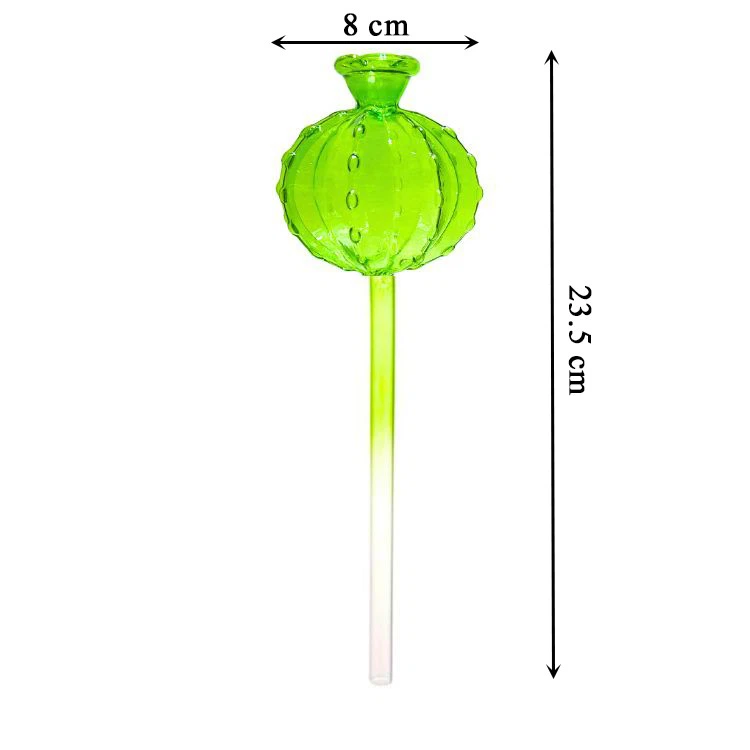 Ball Cactus Shape Glass Watering Bulbs