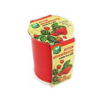 Keramik-Pflanztopf 3 Zoll